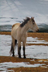 Similar image 21908147