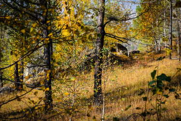 Similar image 21906754