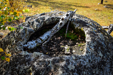 Similar image 21906756