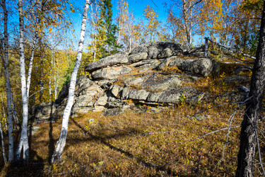 Similar image 21906761