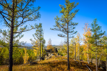 Similar image 21906763