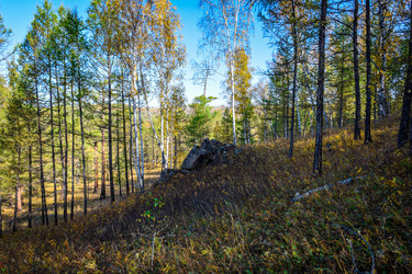 Similar image 21906765