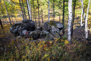 Similar image 21906766