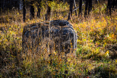 Similar image 21906767