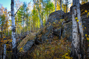 Similar image 21906768