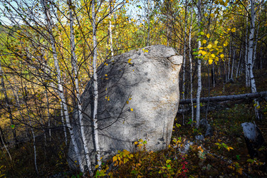 Similar image 21906770