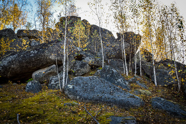 Similar image 21906771