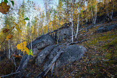 Similar image 21906772