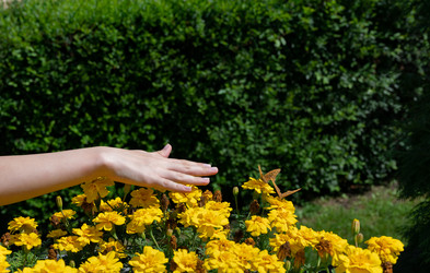 Similar image 21907501