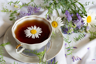 Similar image 21907508