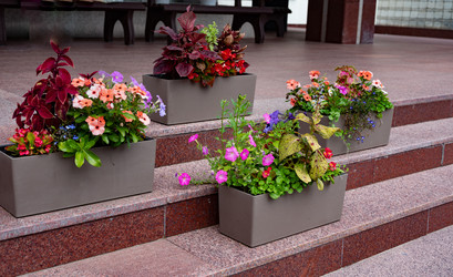 Similar image 21907509