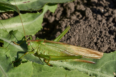 Similar image 21907153