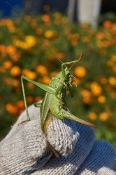 Similar image 21907155