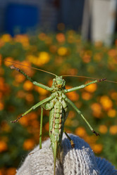 Similar image 21907156