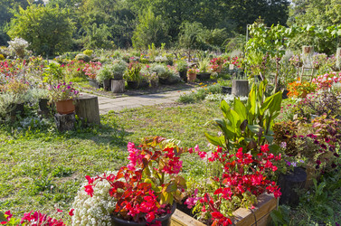 Similar image 21906778