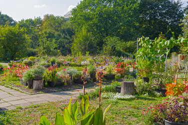 Similar image 21906779