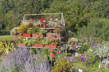 Similar image 21906781