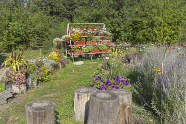 Similar image 21906782