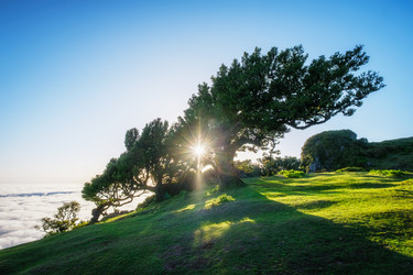 Similar image 21907696