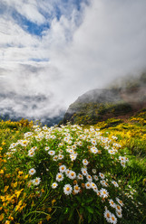 Similar image 21907706