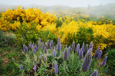 Similar image 21907715