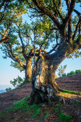 Similar image 21907719