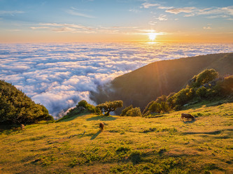 Similar image 21907729