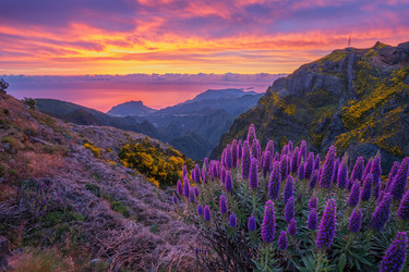 Similar image 21907730