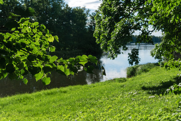 Similar image 21907270