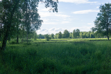 Similar image 21907272