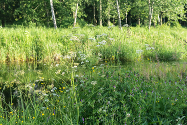 Similar image 21907274