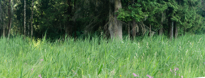 Similar image 21907276