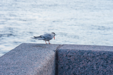 Similar image 21907278