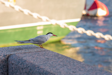 Similar image 21907279