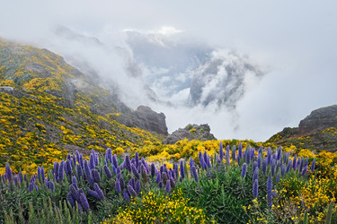 Similar image 21907741