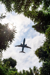 Similar image 21906956