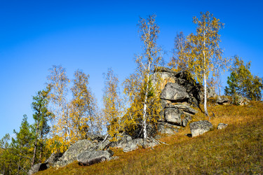 Similar image 21906784