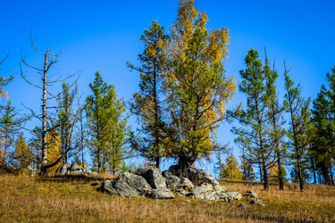 Similar image 21906785