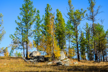 Similar image 21906787