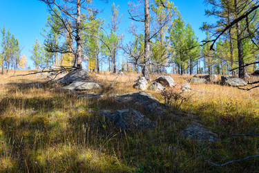 Similar image 21906788