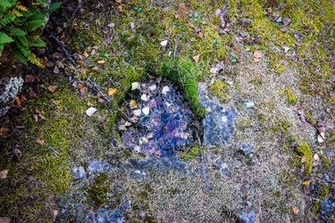 Similar image 21906792