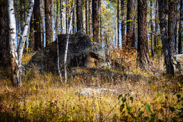 Similar image 21906795