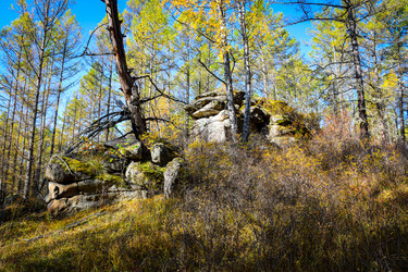 Similar image 21906796