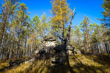 Similar image 21906799