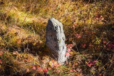 Similar image 21906800