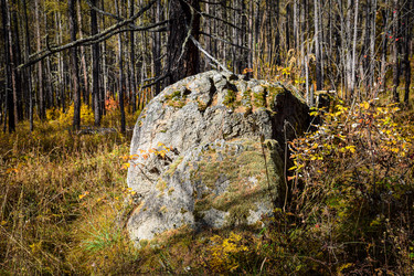 Similar image 21906801