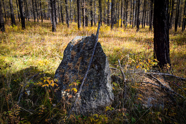 Similar image 21906802