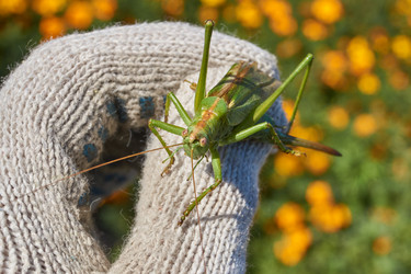 Similar image 21907161