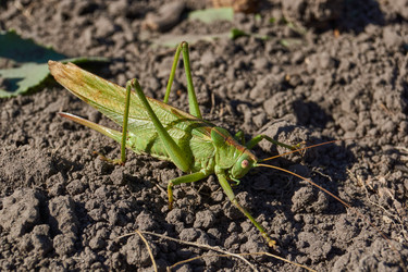 Similar image 21907162