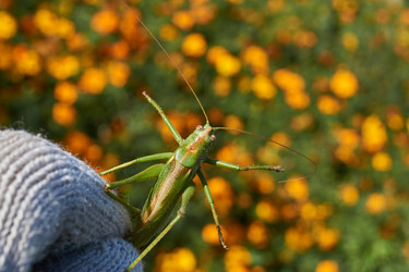 Similar image 21907163